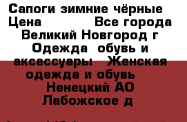 Сапоги зимние чёрные › Цена ­ 3 000 - Все города, Великий Новгород г. Одежда, обувь и аксессуары » Женская одежда и обувь   . Ненецкий АО,Лабожское д.